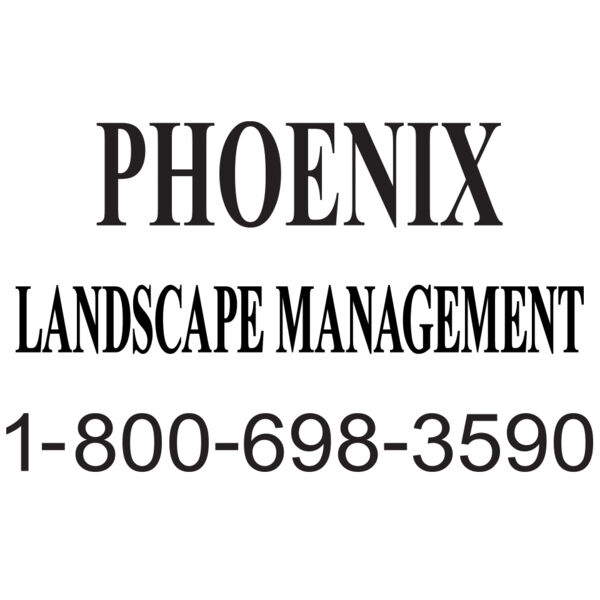 Vinyl Cut Word Mark & Number Thumbnail